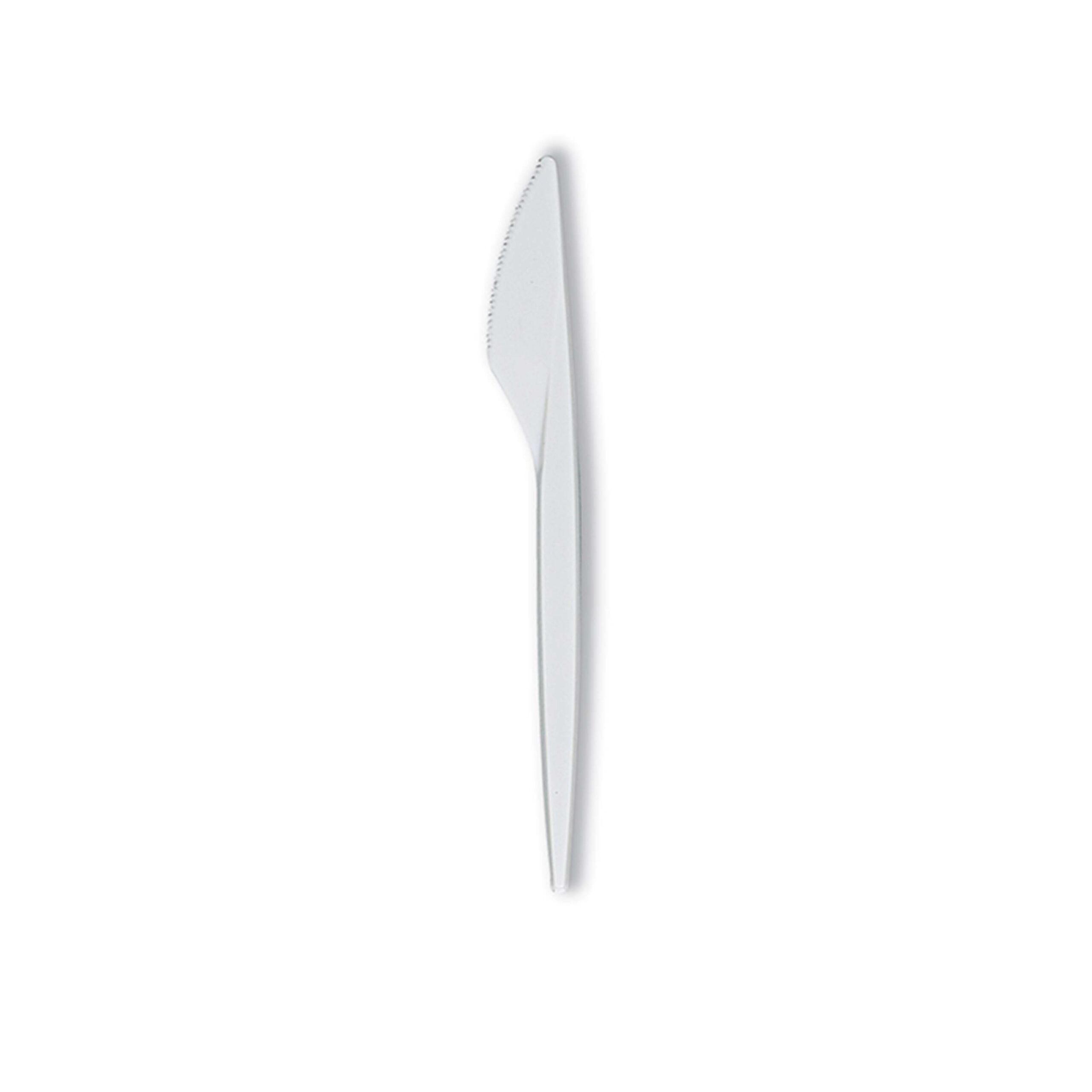 03. Plastic Knife 6.5 scaled